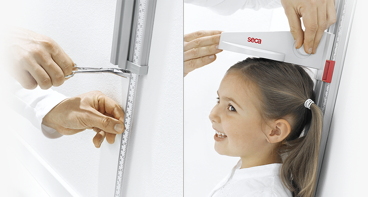 seca 216 - Measuring rod for children and adults #2