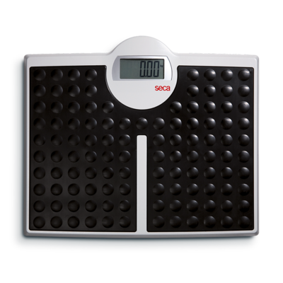 seca 813 - Flat scale with high capacity #0